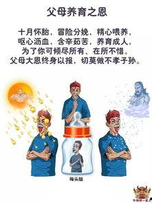 恩情的种子,播撒善意的生命之花