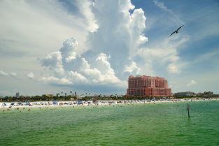 坦帕湾家园 第一季